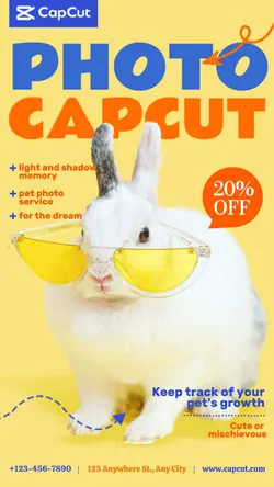 pet photography rabbit display cute style 