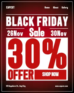 Black Friday Promotion Instagram Post