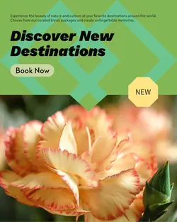 Travel industry General
