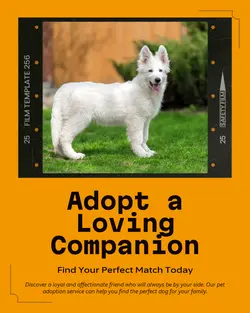 Pet industry General