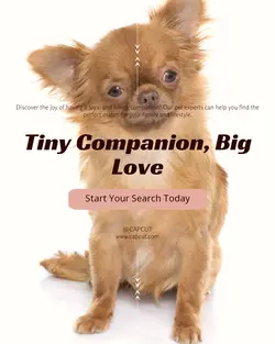 Pet industry General