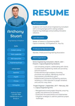 Non-Marketing Consultant Resume Modern