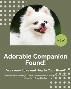 Pet industry General