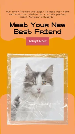 Pet industry General