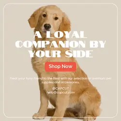 Pet industry General