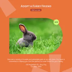 Pet industry General