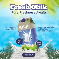 E-commerce Fresh Milk Product Display