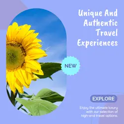 Travel industry Effect Display