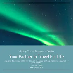 Travel industry Business