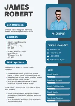 Non-Marketing Accountant Resume Blue Modern