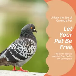 Pet industry General
