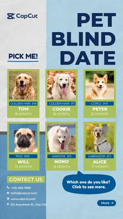 Pets Pet blind date show simple style