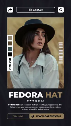 Fedora Hat Fashion Industry Promotion Instagram story