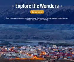 Travel industry General