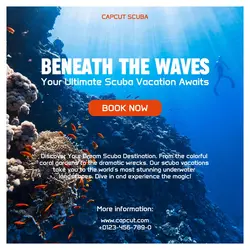 Scuba Diving Travel Industry Promotion Instagram Post