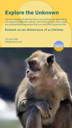 Travel industry General