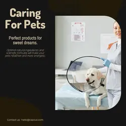 Pet industry Product Display