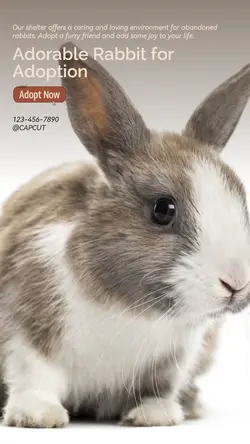 Pet industry General