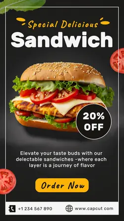 Special Delicious Sandwich Promotion Instagram Story