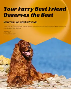 Pet industry General