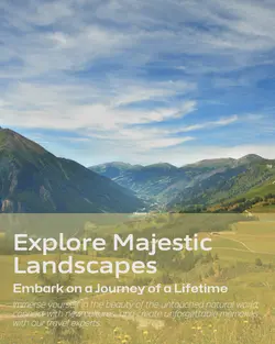 Travel industry General