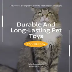 Pet industry Effect Display