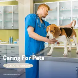 Pet industry Product Display