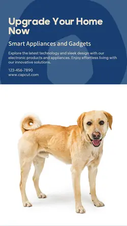 Electronic products & Appliances General