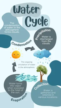 Non-marketing Infographics