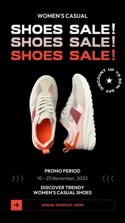 Fashion Industry Women Shoes Sale Instagram Story