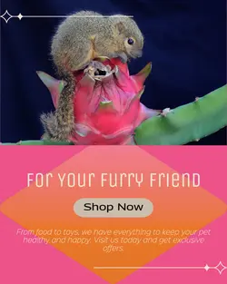 Pet industry General