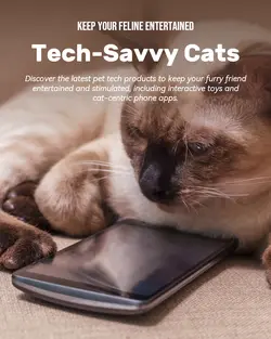 Pet industry General