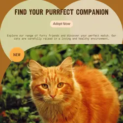 Pet industry General