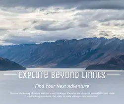 Travel industry General