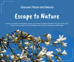 Travel industry General
