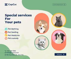 Pet supplies Personal Business show simple style