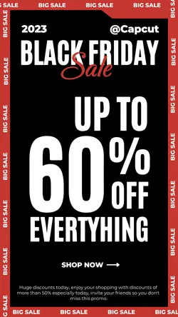 Black Friday Instagram Story