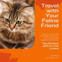 Pet industry Gift