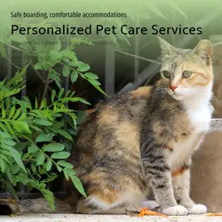 Pet industry Effect Display