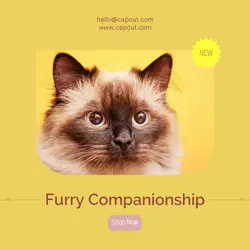 Pet industry General