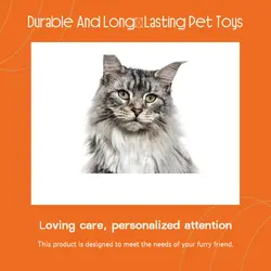 Pet industry Effect Display