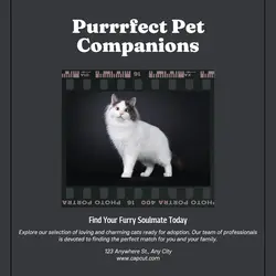 Pet industry General