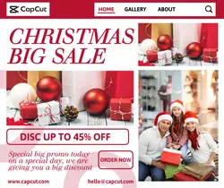 Christmas Big Sale Promo Story FB