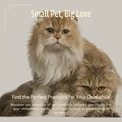 Pet industry Product display