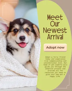 Pet industry New arrivals