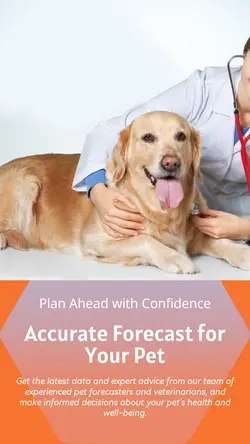 Pet industry Forecast