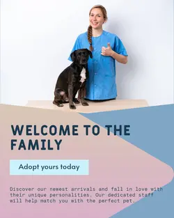 Pet industry New arrivals