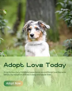 Pet industry Gift