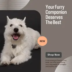Pet industry General
