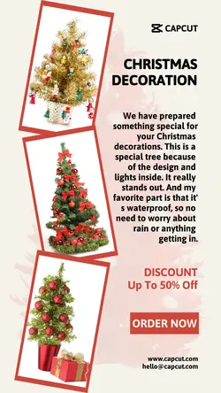 CHRISTMAS PROMOTION INSTAGRAM STORY